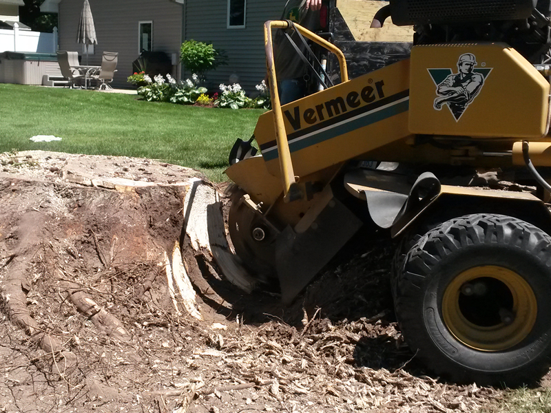 stump grinder st louis