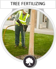 free tree removal contract form, Frankfort KY